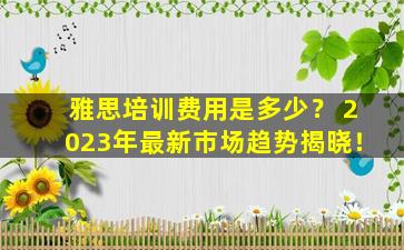 雅思培训费用是多少？ 2023年最新市场趋势揭晓！